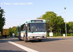 421_pinot_sept_2009_2